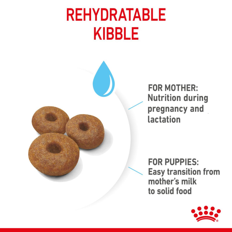 Royal canin newborn puppy food sales