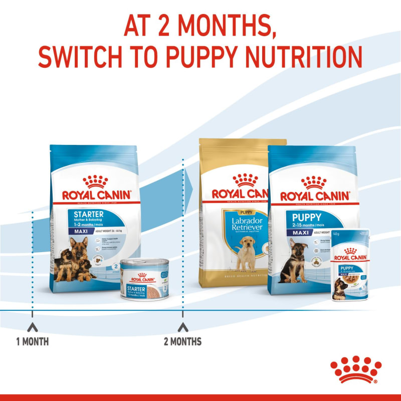 Royal canin new arrivals starter professional