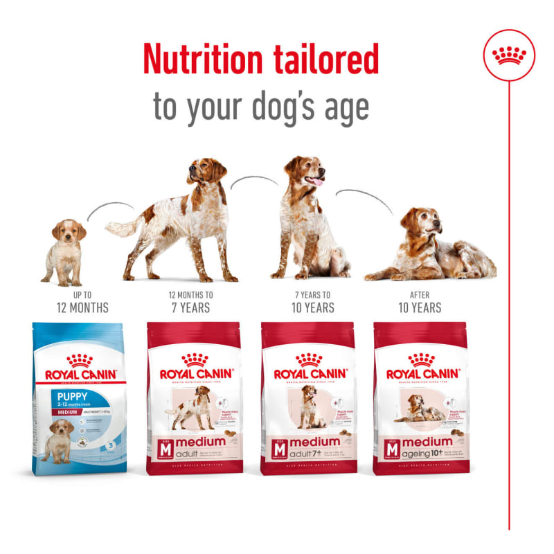 Royal canin medium adult dog sale