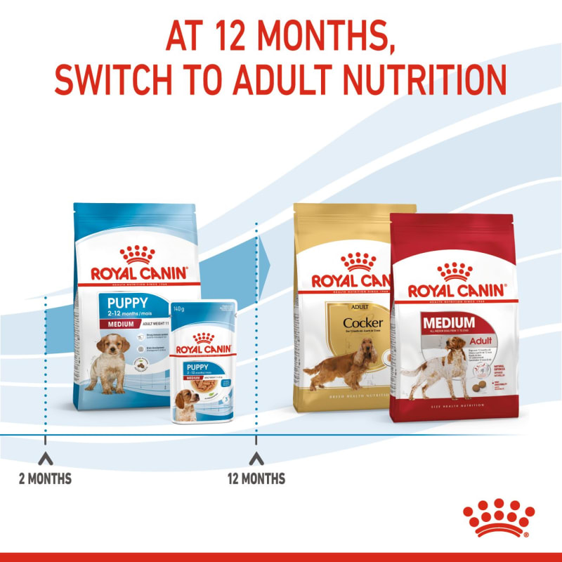 Royal Canin Size Health Nutrition Pet Supermarket