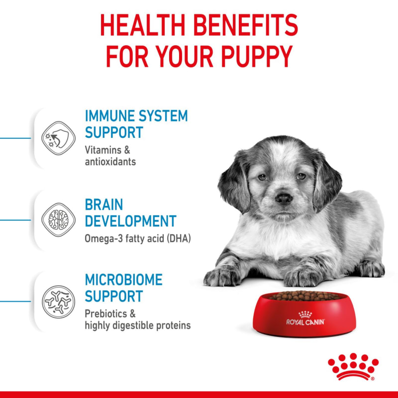 Royal canin medium top puppy 15kg best price