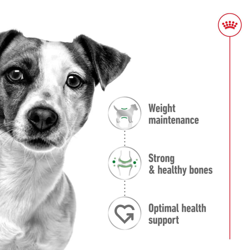 Royal Canin Mini Adult Dog Dry Food Pet Supermarket