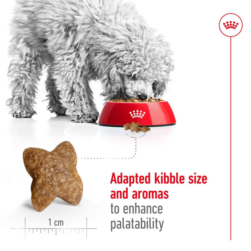 Royal canin adult mini 8 kg hot sale