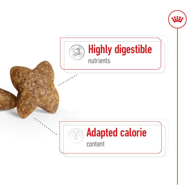 Royal Canin Mini Adult Dog Dry Food Pet Supermarket