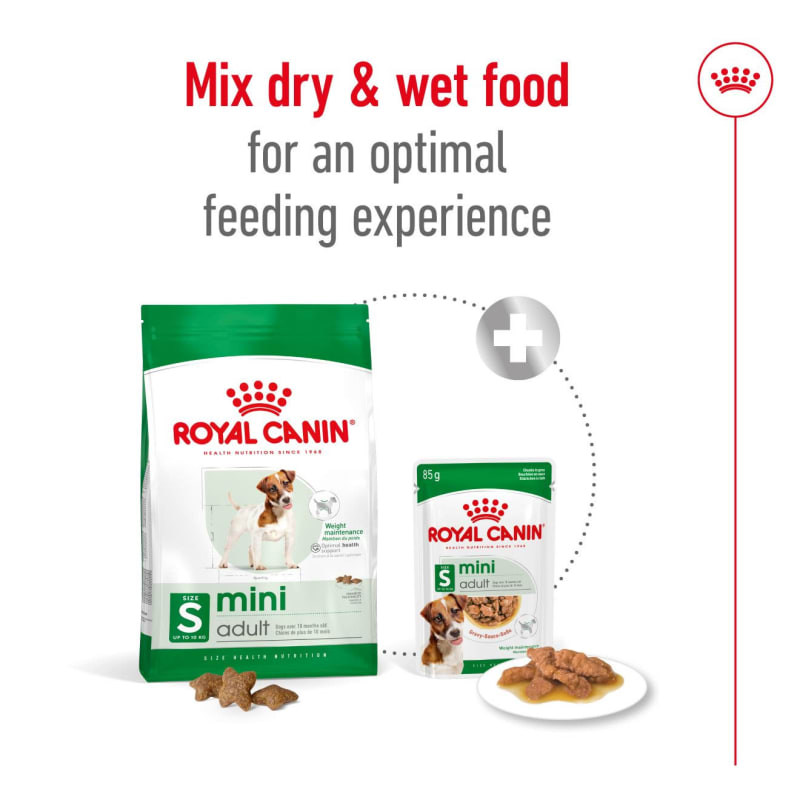 Royal canin small indoor shop