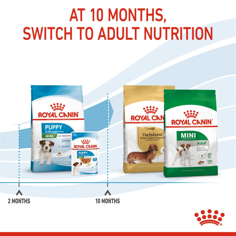 Royal canin outlet teckel