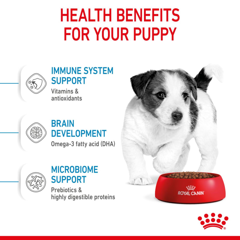 Royal canin mini starter 8 5 kg clearance