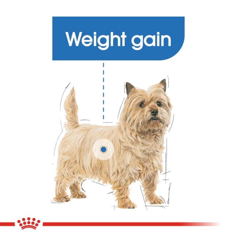 Royal canin mini shop light weight care