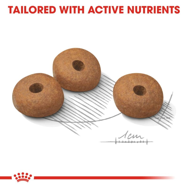Royal Canin Canine Care Nutrition Pet Supermarket