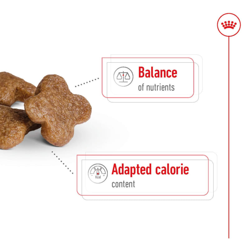 Royal canin online mini adult ingredients