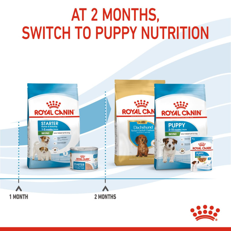 Royal canin pediatric starter discount mother and baby dog