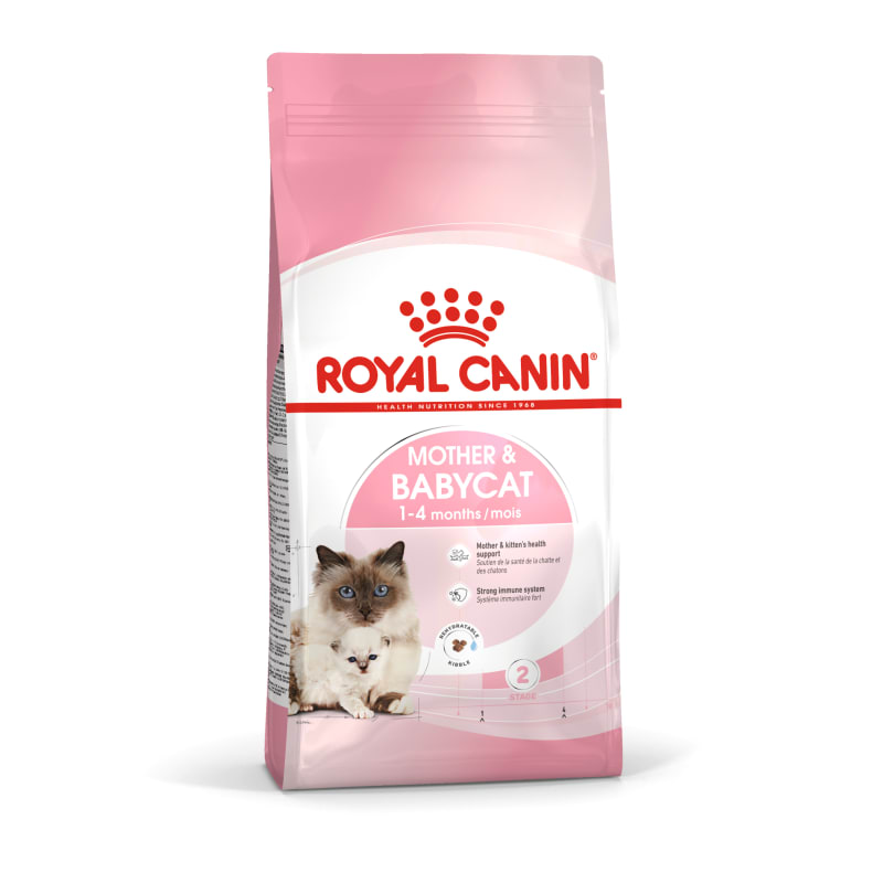 Royal canin bengal wet food discount