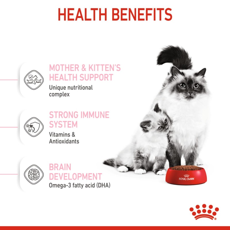 Royal canin top pregnant cat food
