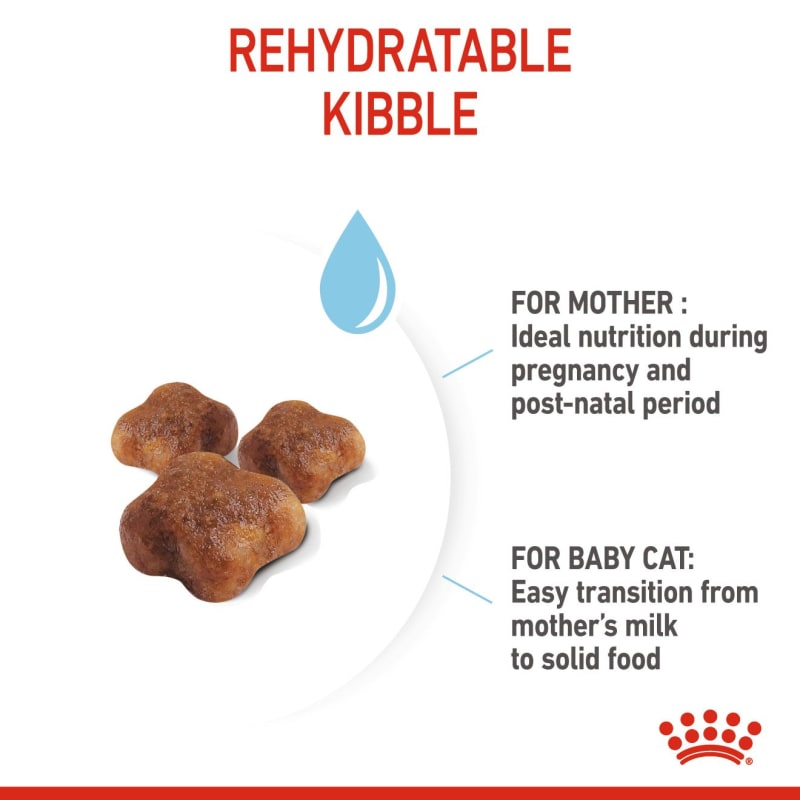 Royal Canin Feline Health Nutrition Pet Supermarket