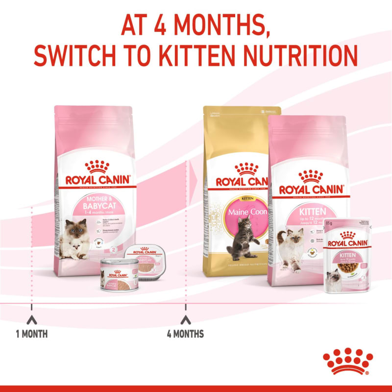 Royal canin mother & babycat store cat food