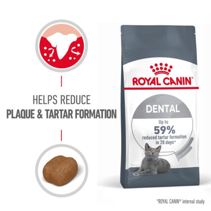 Royal canin oral care 3.5 kg clearance