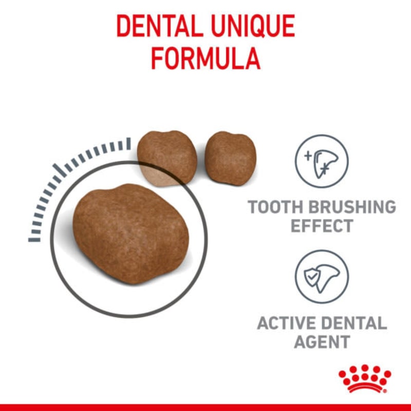 Royal canin feline dental diet 2025