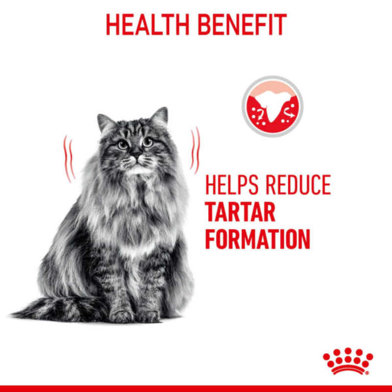 Royal canin clearance dental diet cat