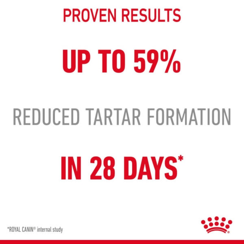 Royal canin top dental cat food
