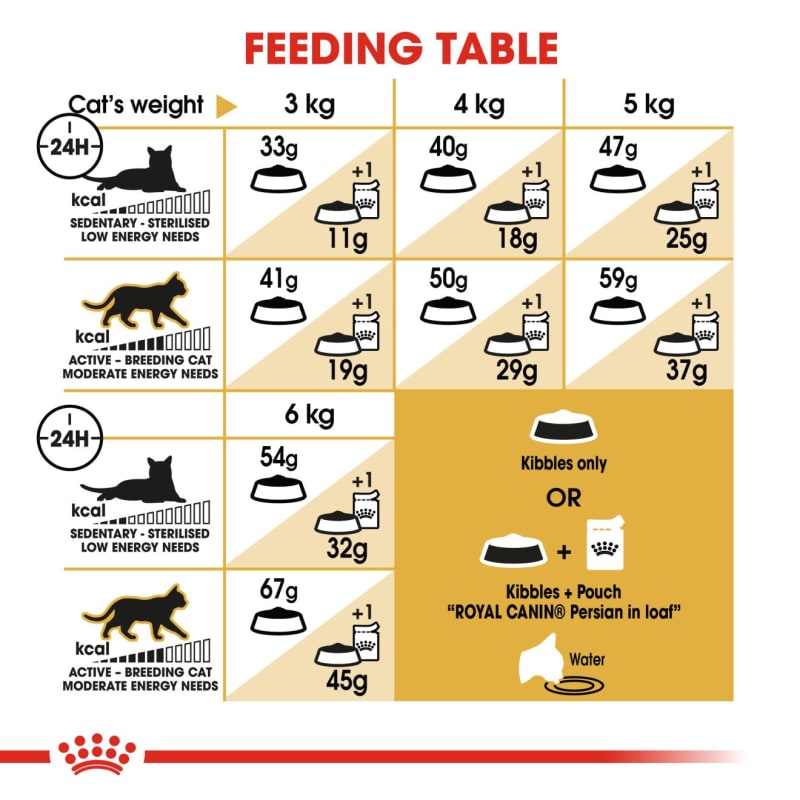 Diet for persian cats outlet