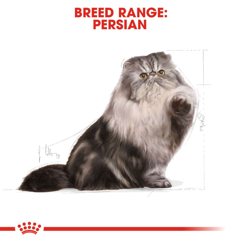 Royal Canin Feline Breed Nutrition Pet Supermarket