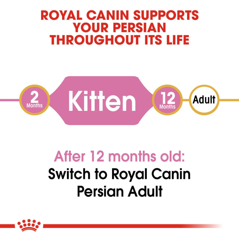 Royal canin persian on sale cat food price