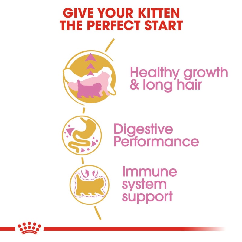 Royal canin persian outlet kitten ingredients