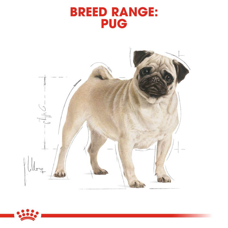 Royal canin pug junior 4kg top