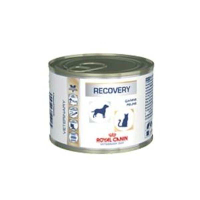 Royal canin hotsell cat recovery food