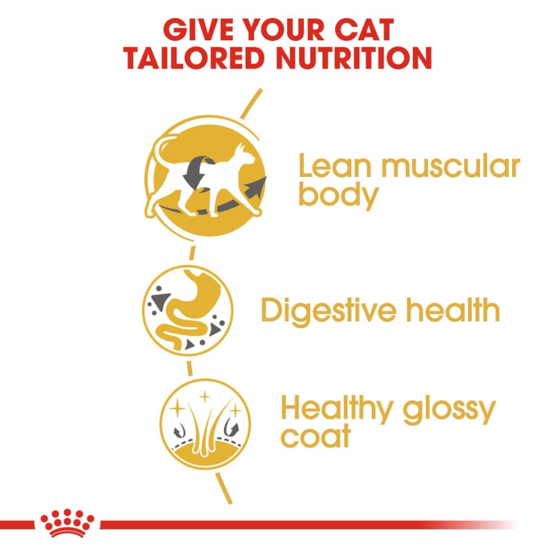 Royal canin online siamese 38