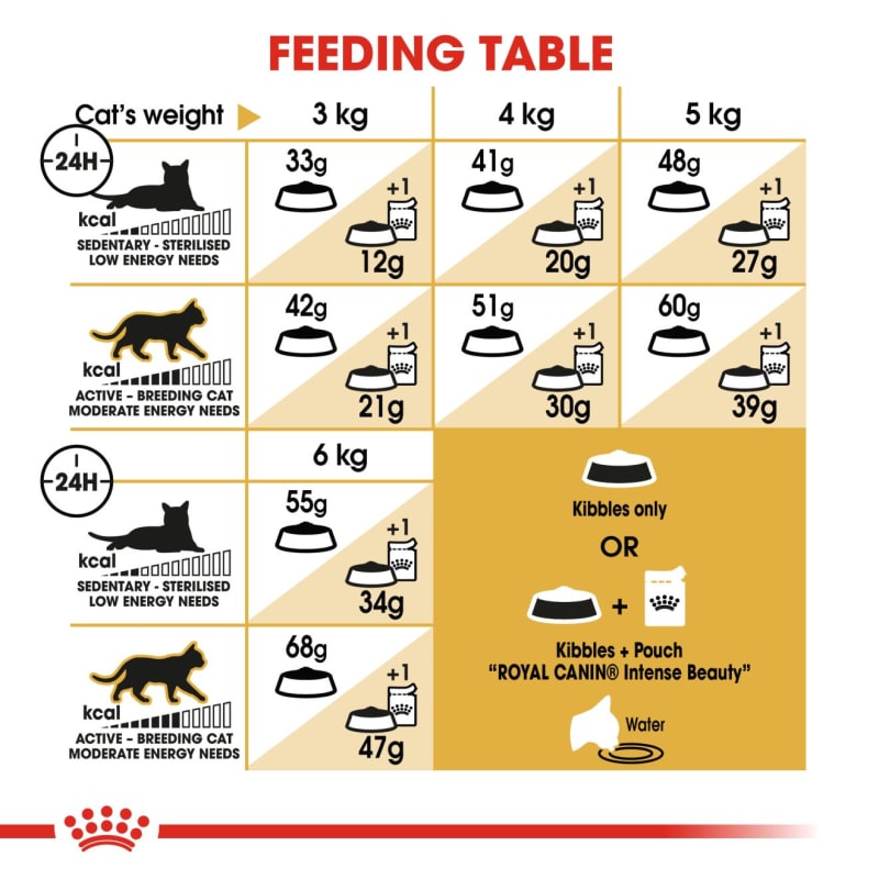Best dry food for siamese cats online