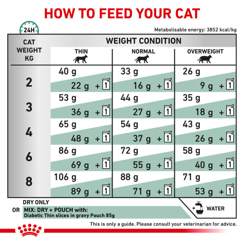 Royal canin diabetic online cat food reviews