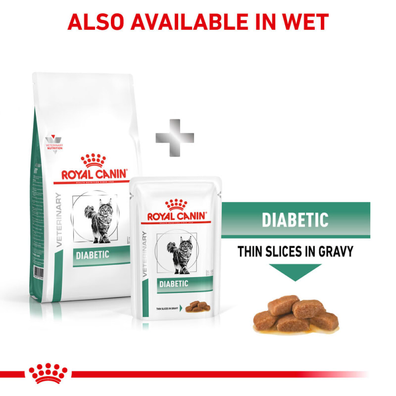Royal canin diabetic cat food pouches cheap