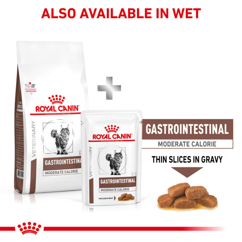 Royal canin gastrointestinal moderate calorie dry dog food on sale