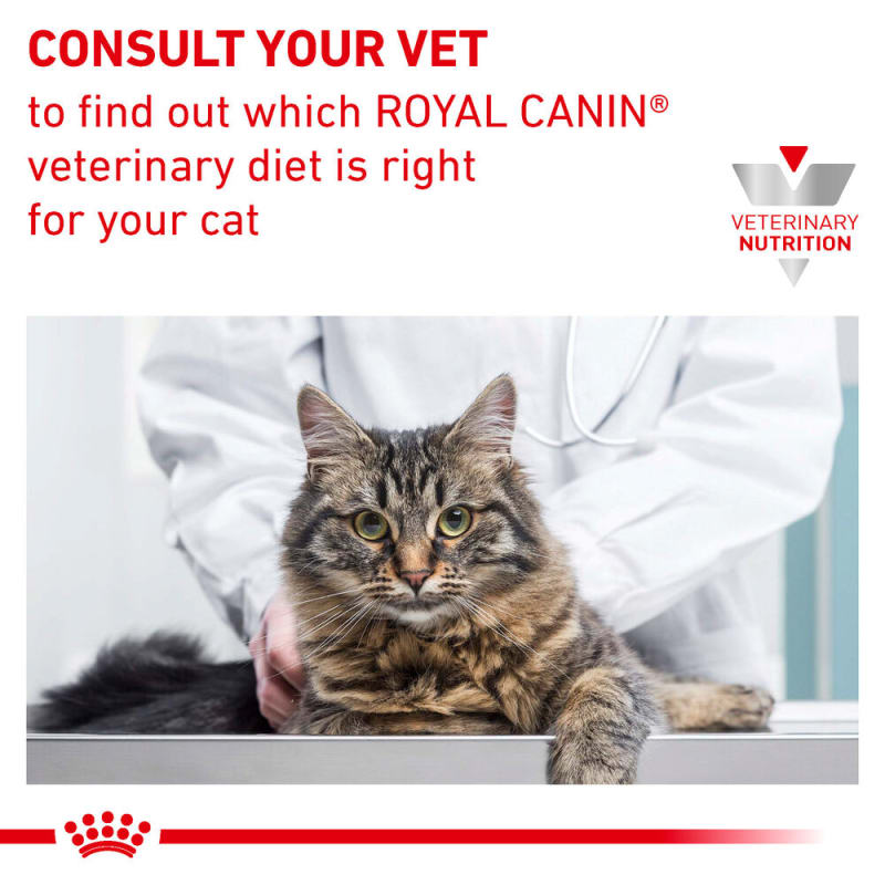 Royal canin hydrolyzed protein cat canned deals