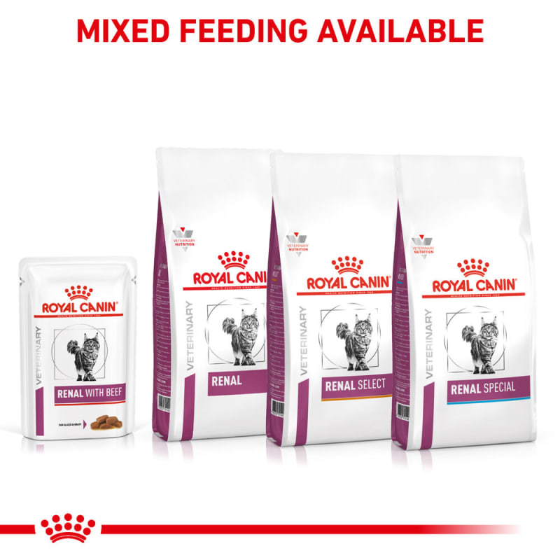 Royal canin kidney care for cats sales