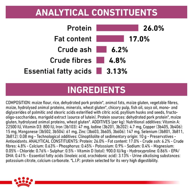 Renal special feline shop royal canin