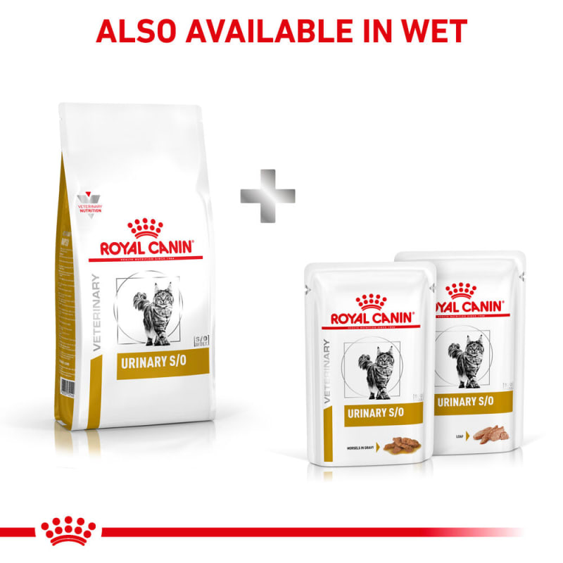 Royal canin urinary calm wet cat food store