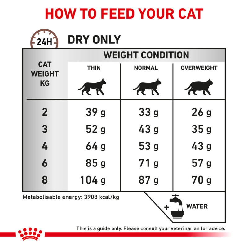 Royal canin fiber cat food sales