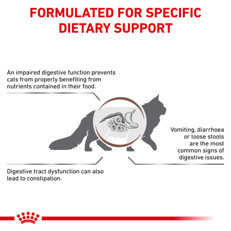 Royal canin veterinary diet gastrointestinal fiber response dry cat food online