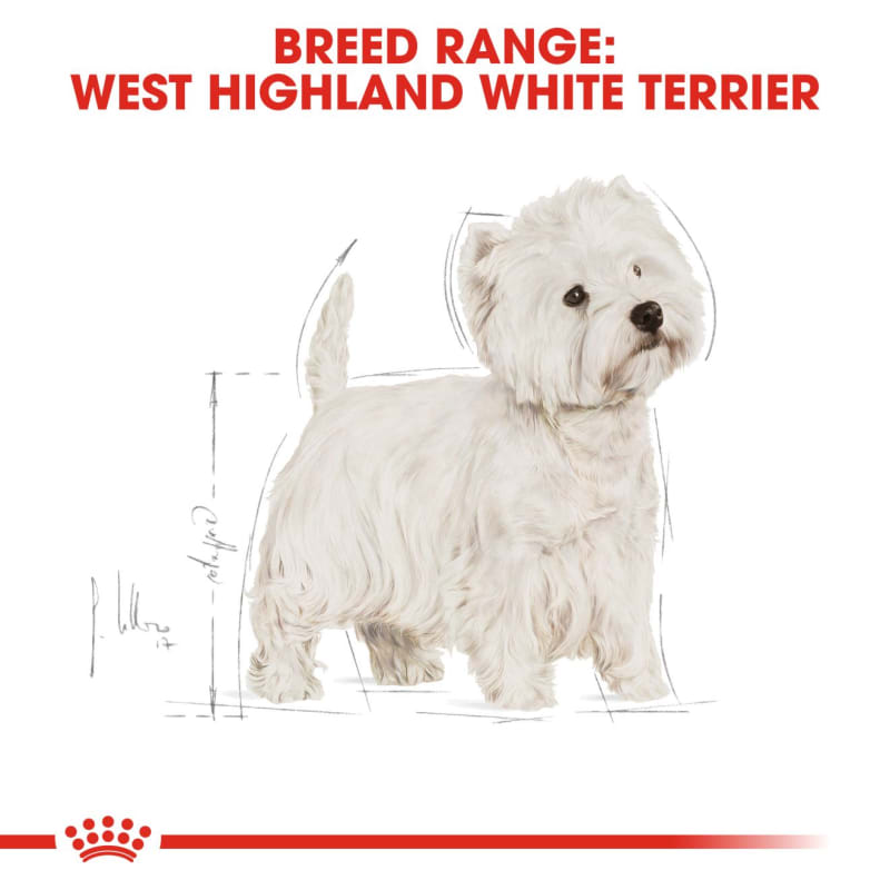 Royal Canin West Highland White Pet Supermarket