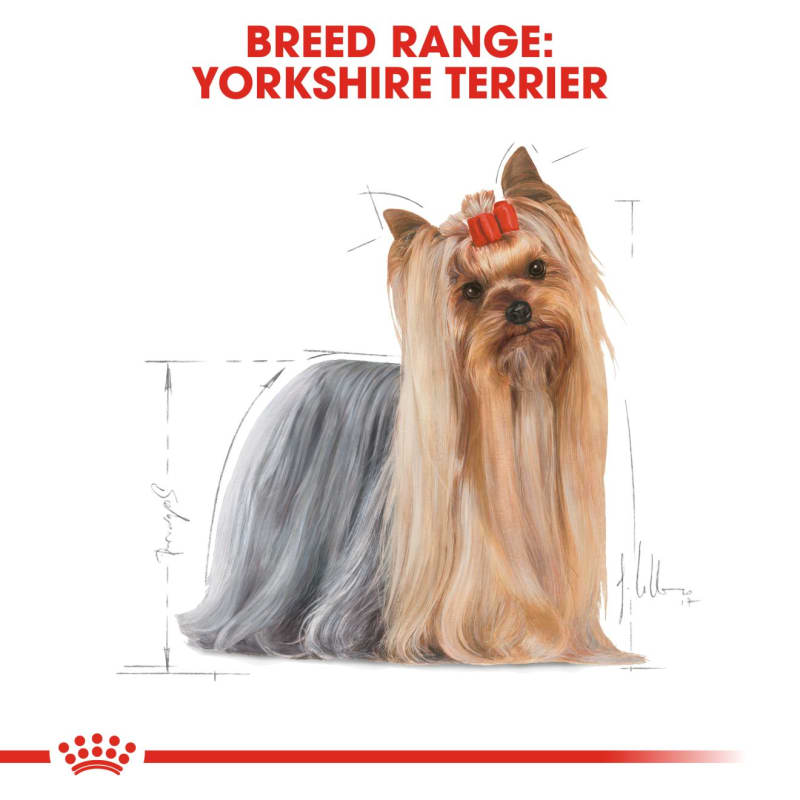 Royal Canin Breed Health Nutrition Pet Supermarket