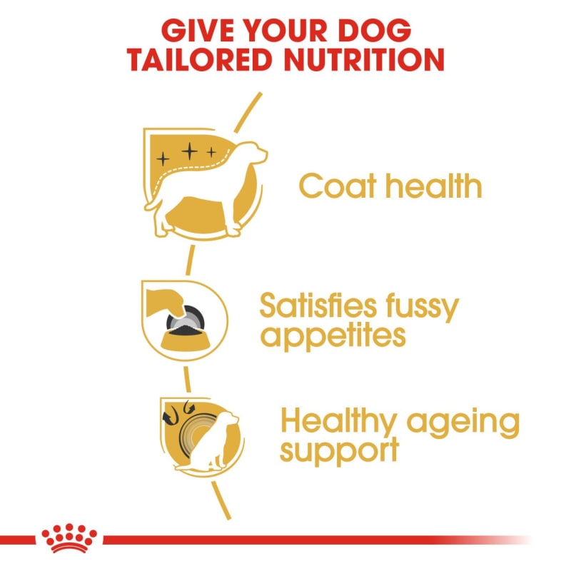 Royal canin yorkshire terrier adult dry dog outlet food