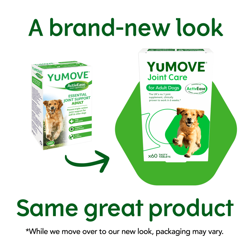 Yumove tablets for dogs 300 2025