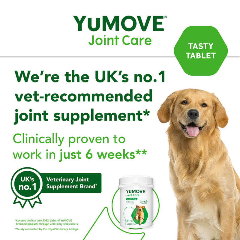 Joint care hot sale for dogs