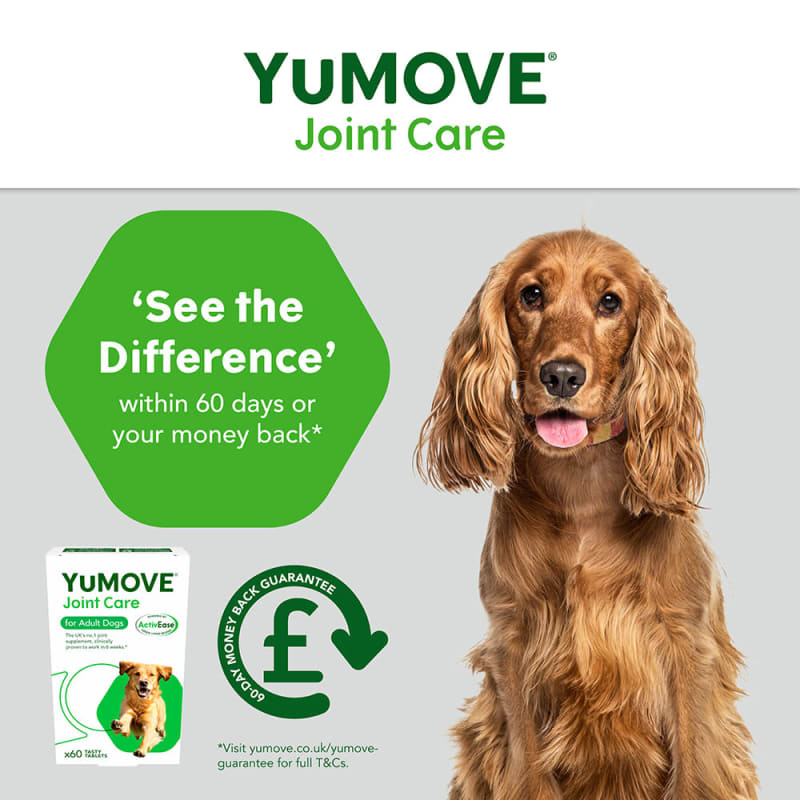 Fetch yumove outlet