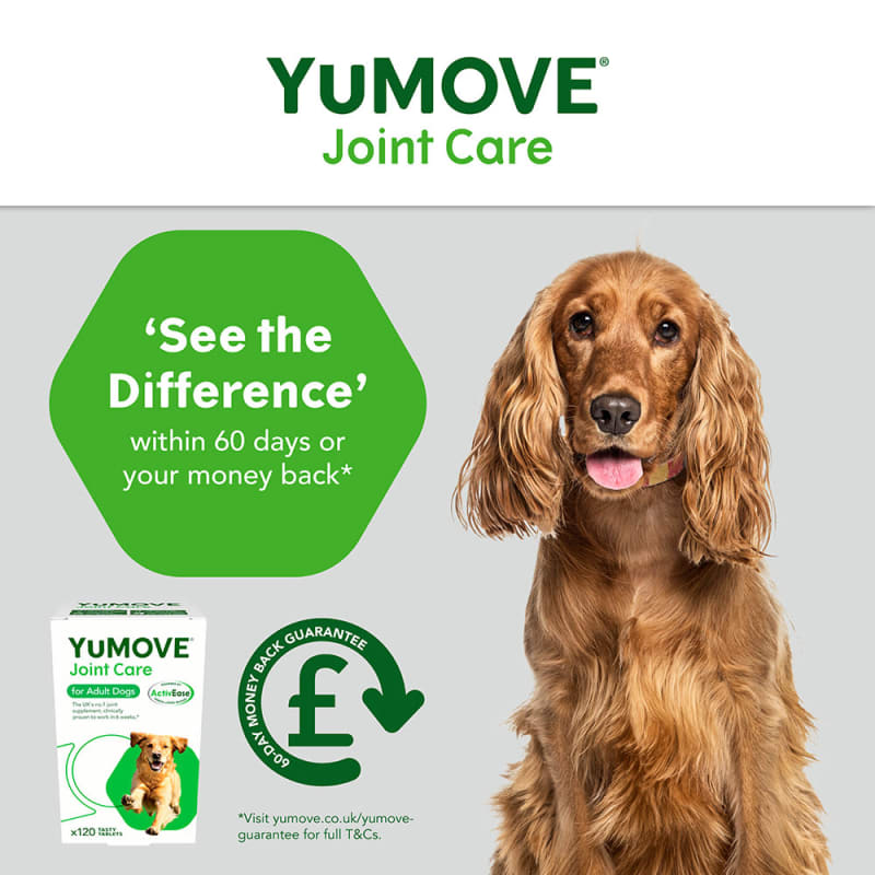 Yumove uk outlet