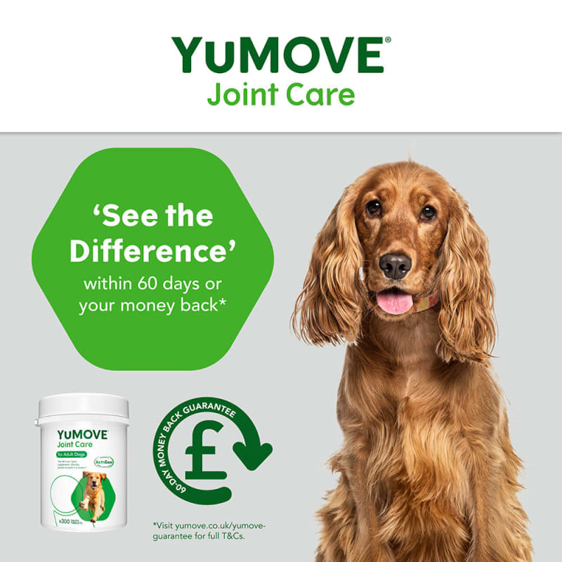 Yumove advance for older dogs top