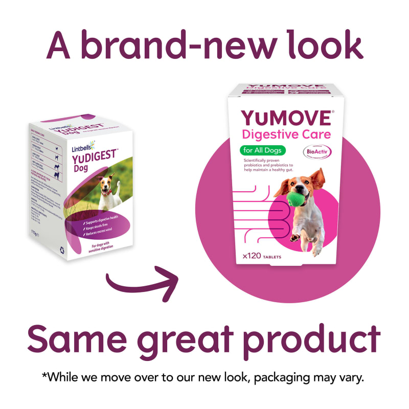 YuDIGEST Digestive Health Supplement Pet Supermarket