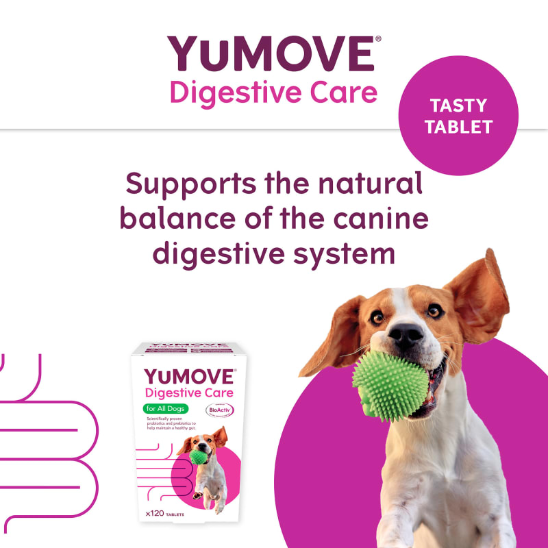 Yumove advance 360 for dogs 120 tablets sale